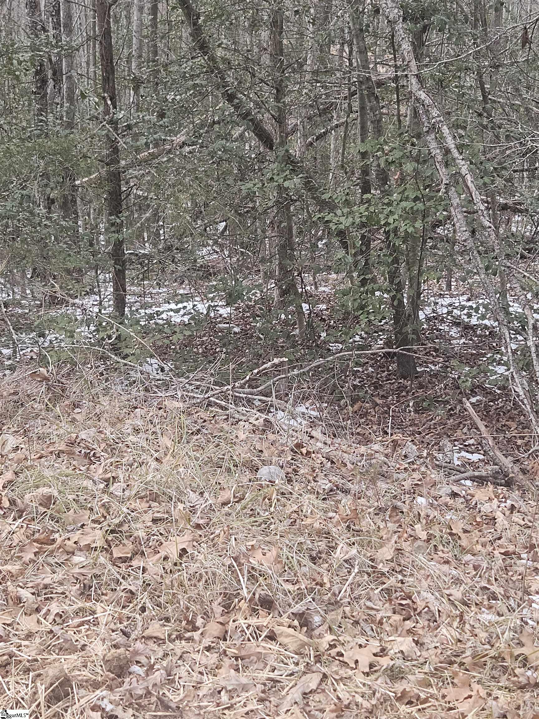 0 Chandler Road Easley, SC 29640 - Photo 10 of 10