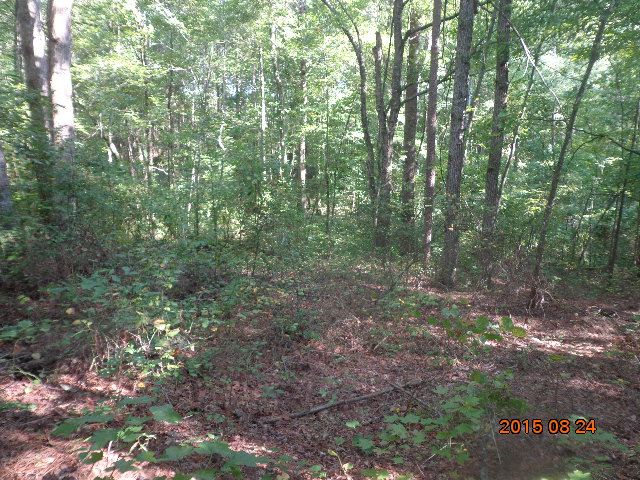 0 H I Taylor Road Williamston, SC 29697 - Photo 11 of 14