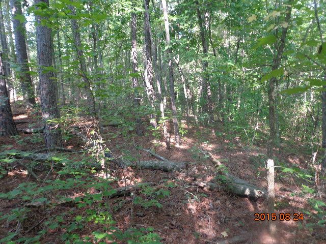 0 H I Taylor Road Williamston, SC 29697 - Photo 12 of 14