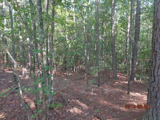 0 H I Taylor Road Williamston, SC 29697 - Photo 13 of 14