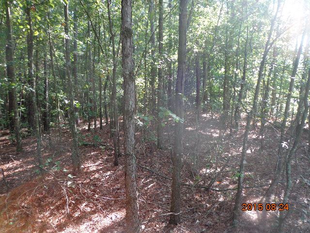 0 H I Taylor Road Williamston, SC 29697 - Photo 14 of 14