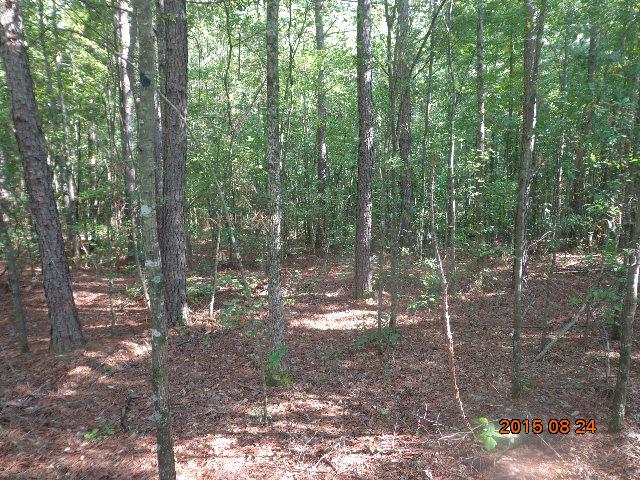 0 H I Taylor Road Williamston, SC 29697 - Photo 2 of 14