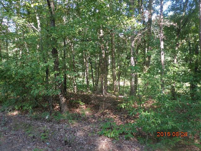 0 H I Taylor Road Williamston, SC 29697 - Photo 4 of 14