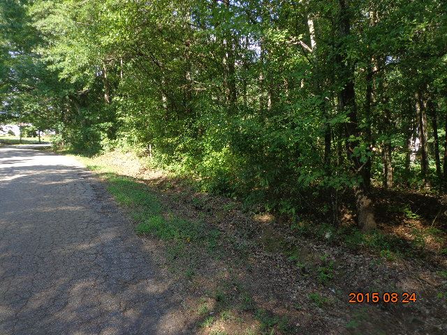 0 H I Taylor Road Williamston, SC 29697 - Photo 5 of 14