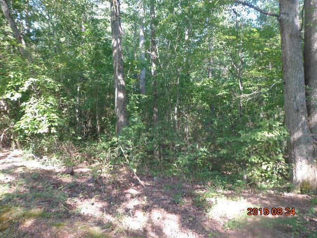 0 H I Taylor Road Williamston, SC 29697 - Photo 6 of 14