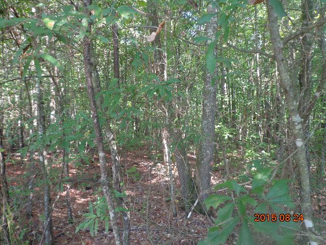 0 H I Taylor Road Williamston, SC 29697 - Photo 7 of 14