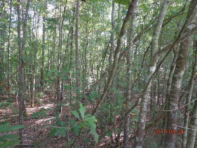 0 H I Taylor Road Williamston, SC 29697 - Photo 8 of 14