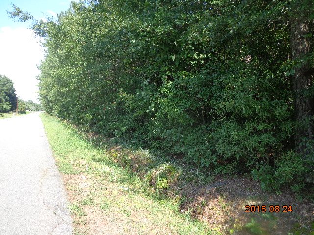 0 H I Taylor Road Williamston, SC 29697 - Photo 9 of 14