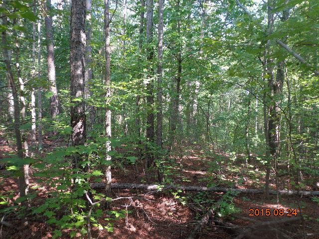 0 H I Taylor Road Williamston, SC 29697 - Photo 10 of 14