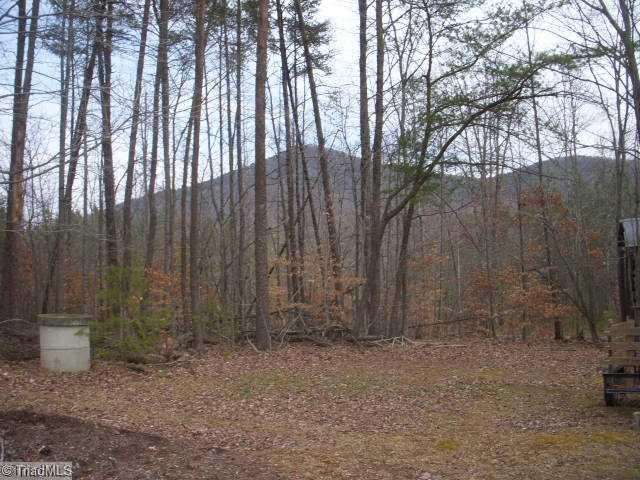 1951 Tillotson Road Pinnacle, NC 27043 - Photo 13 of 16 View. These are the Sauratown Mountains.