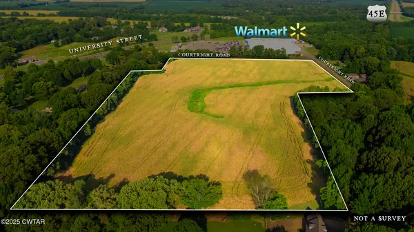a view of swimming pool from a lake