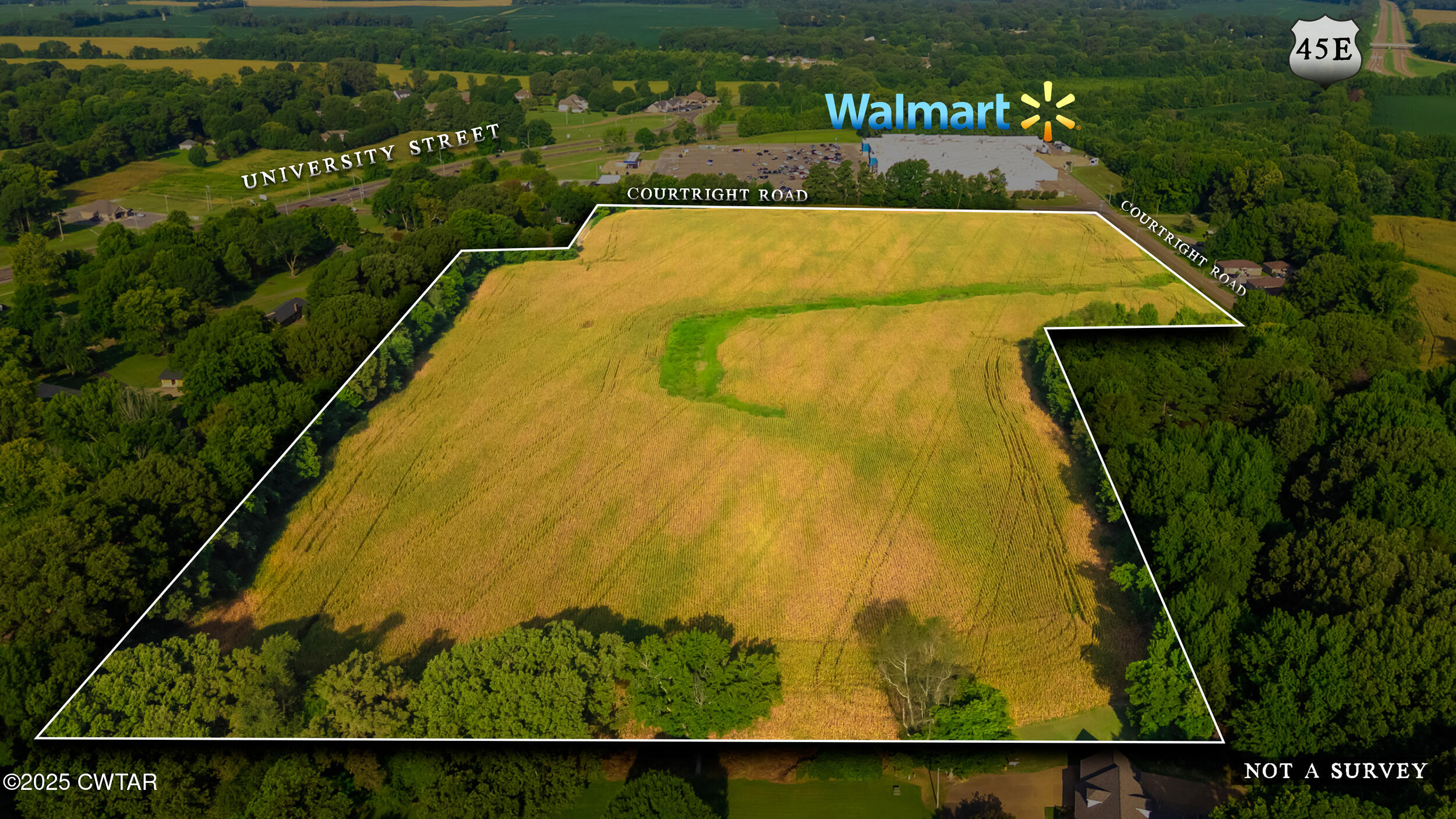 a view of swimming pool from a lake