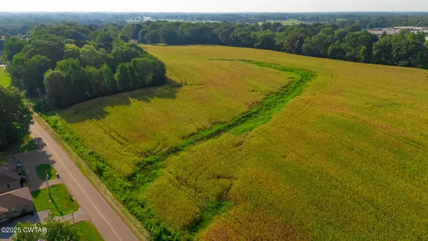 a view of a yard with an outdoor space