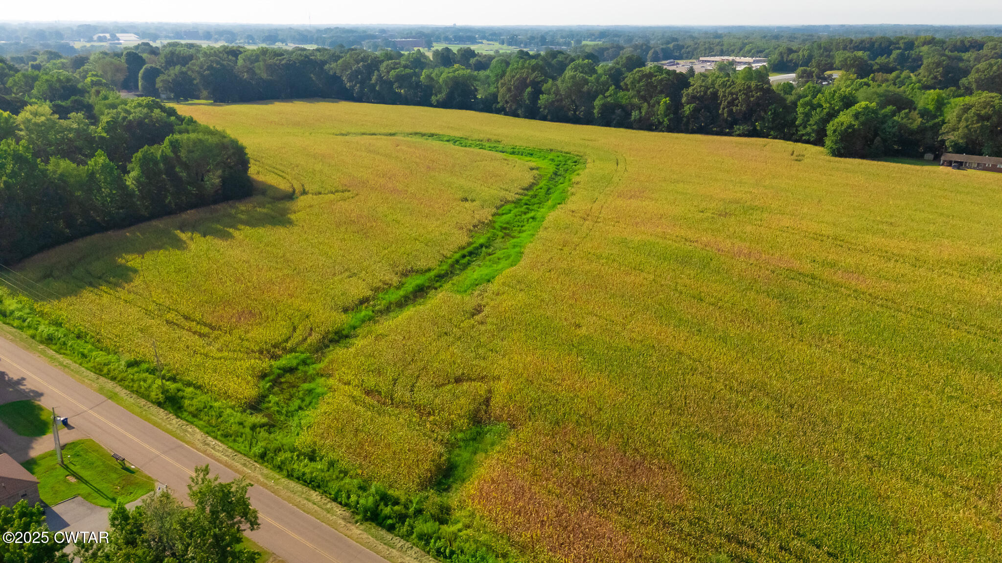 137 Courtright Road Martin, TN 38237 - Photo 13 of 17