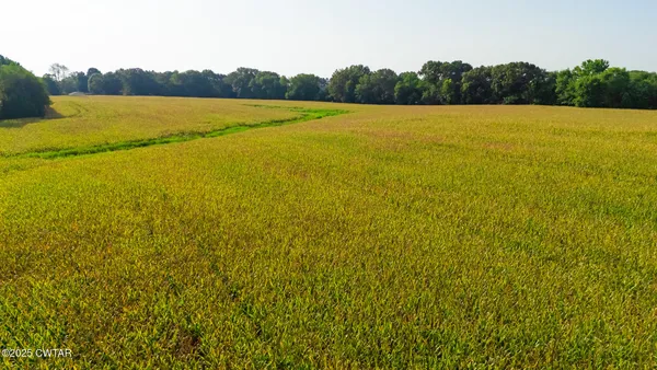 a view of an outdoor space and swimming pool