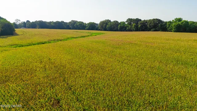 a view of an outdoor space and swimming pool