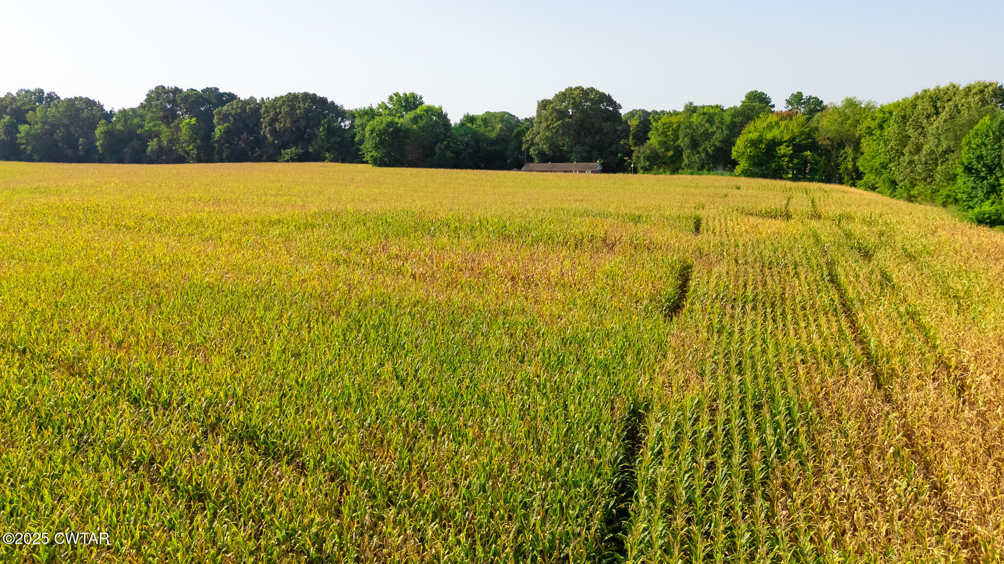 137 Courtright Road Martin, TN 38237 - Photo 15 of 17 a view of an outdoor space and swimming pool