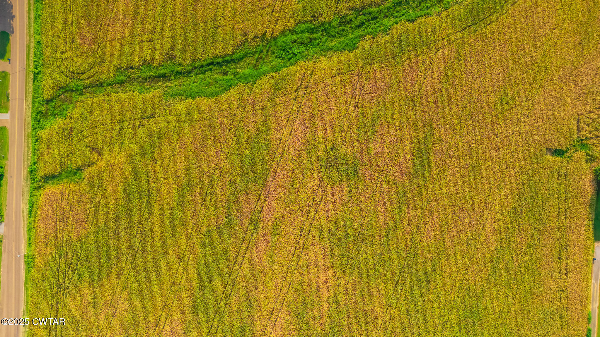 137 Courtright Road Martin, TN 38237 - Photo 16 of 17 a bathroom with a window