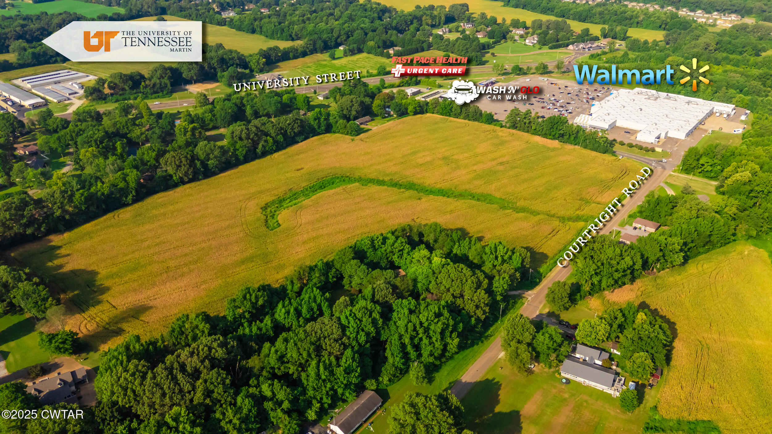 137 Courtright Road Martin, TN 38237 - Photo 2 of 17 a view of a swimming pool with a yard and mountain view