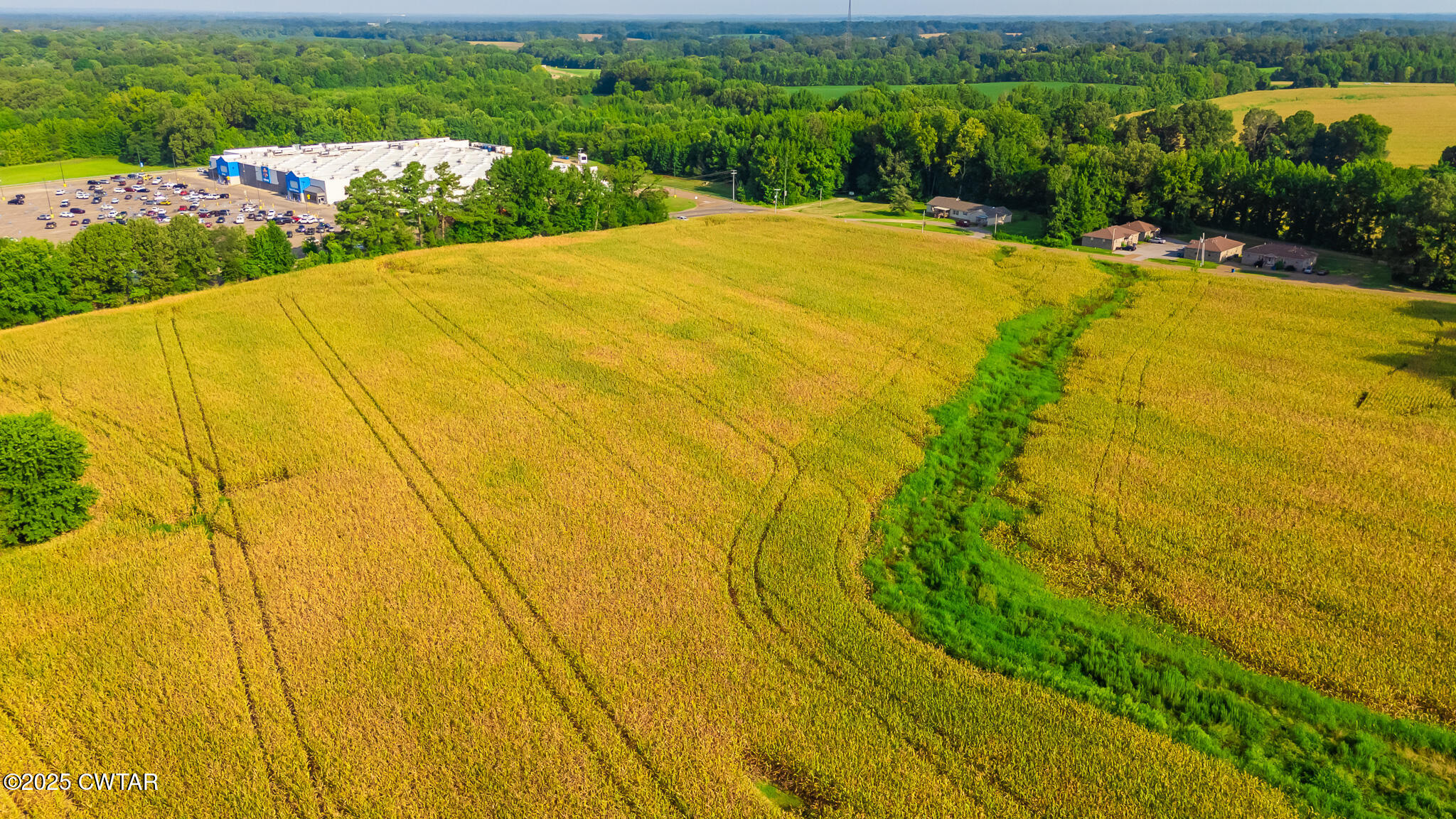 137 Courtright Road Martin, TN 38237 - Photo 8 of 17 a view of a swimming pool and outdoor space