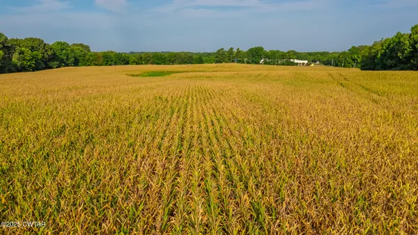 a view of an ocean from a yard