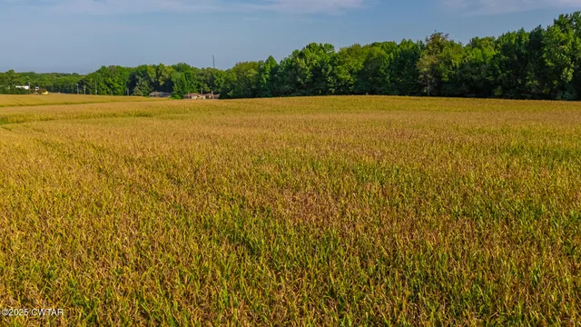 a view of lake and mountain