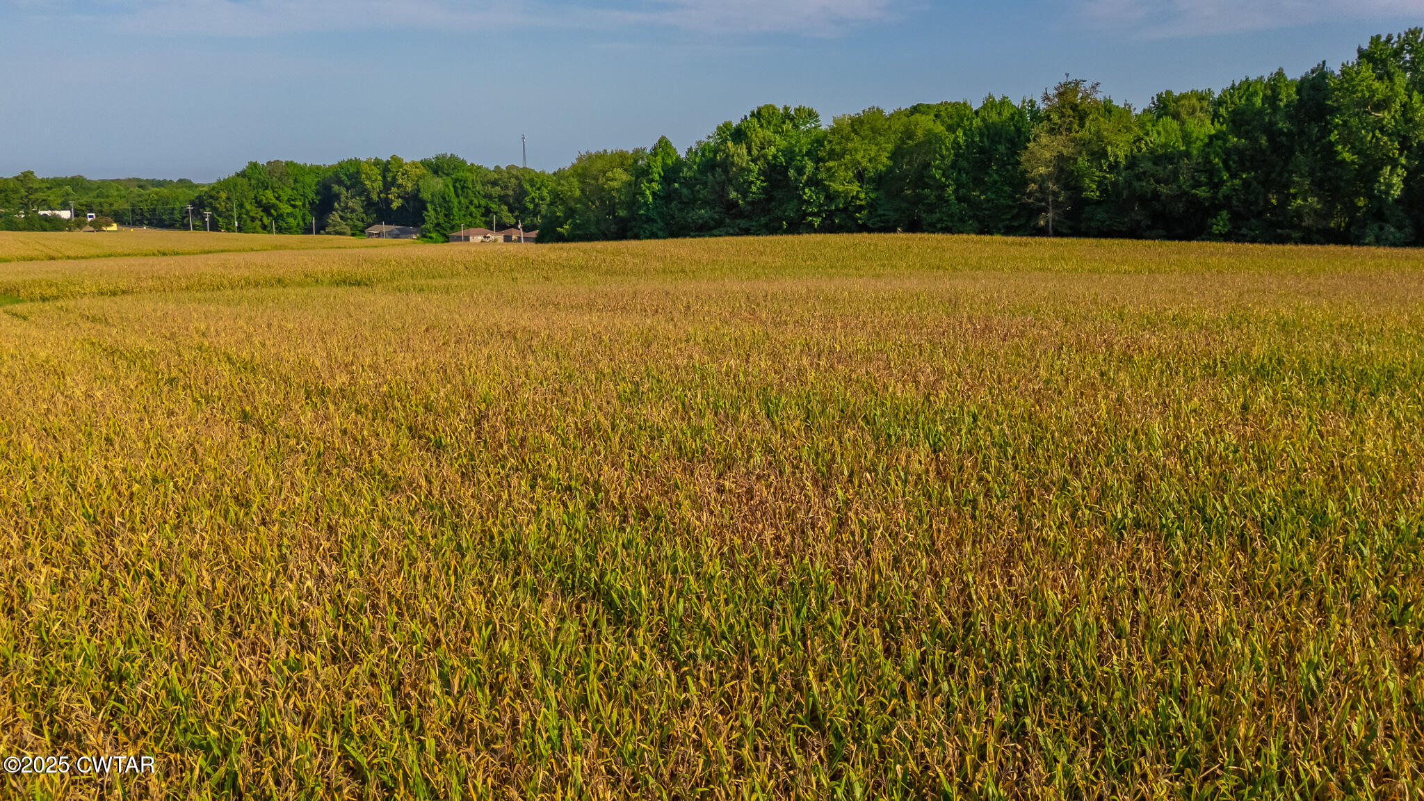 137 Courtright Road Martin, TN 38237 - Photo 10 of 17 a view of lake and mountain