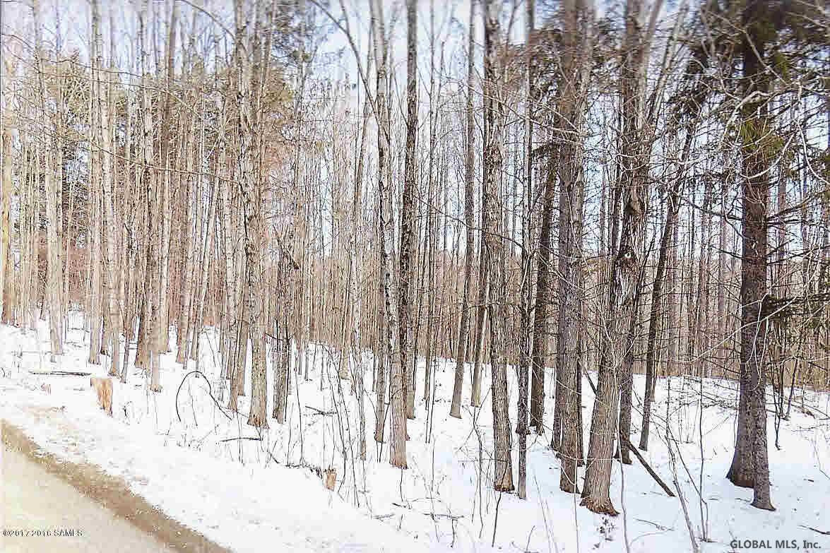 0 Middle Road Hebron, NY 12865 - Photo 3 of 10 Photo 3