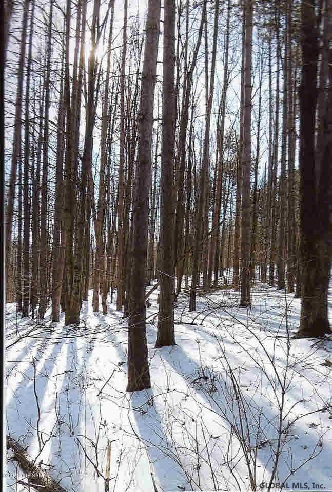 0 Middle Road Hebron, NY 12865 - Photo 4 of 10 Photo 4