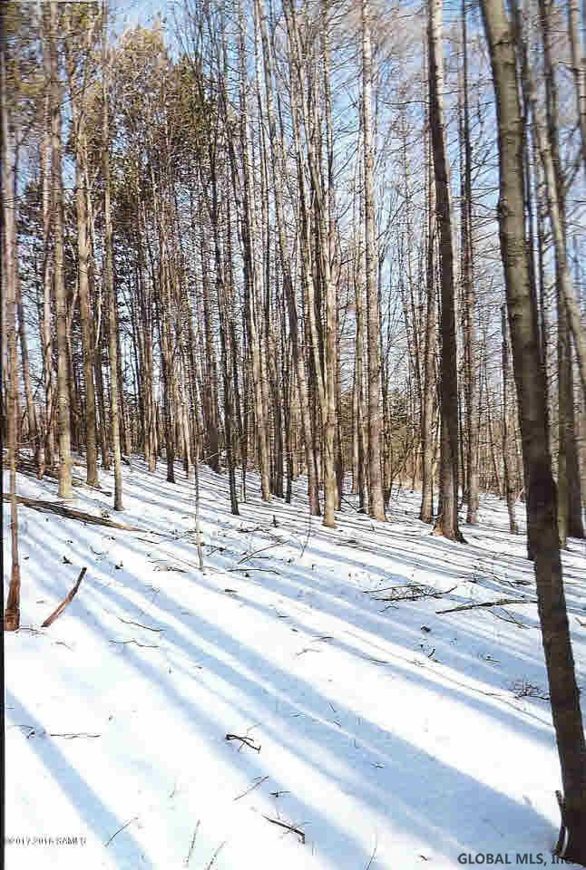 0 Middle Road Hebron, NY 12865 - Photo 5 of 10 Photo 5