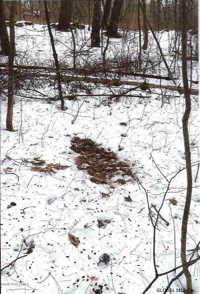0 Middle Road Hebron, NY 12865 - Photo 8 of 10 Photo 8