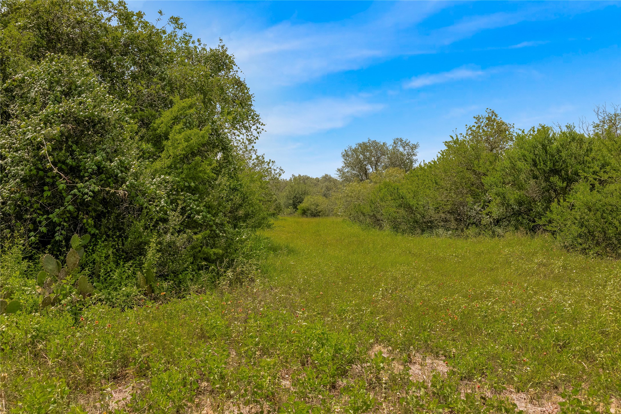 0 McGuill Road Goliad, TX 77963 - Photo 18 of 21 Gallery Image 18