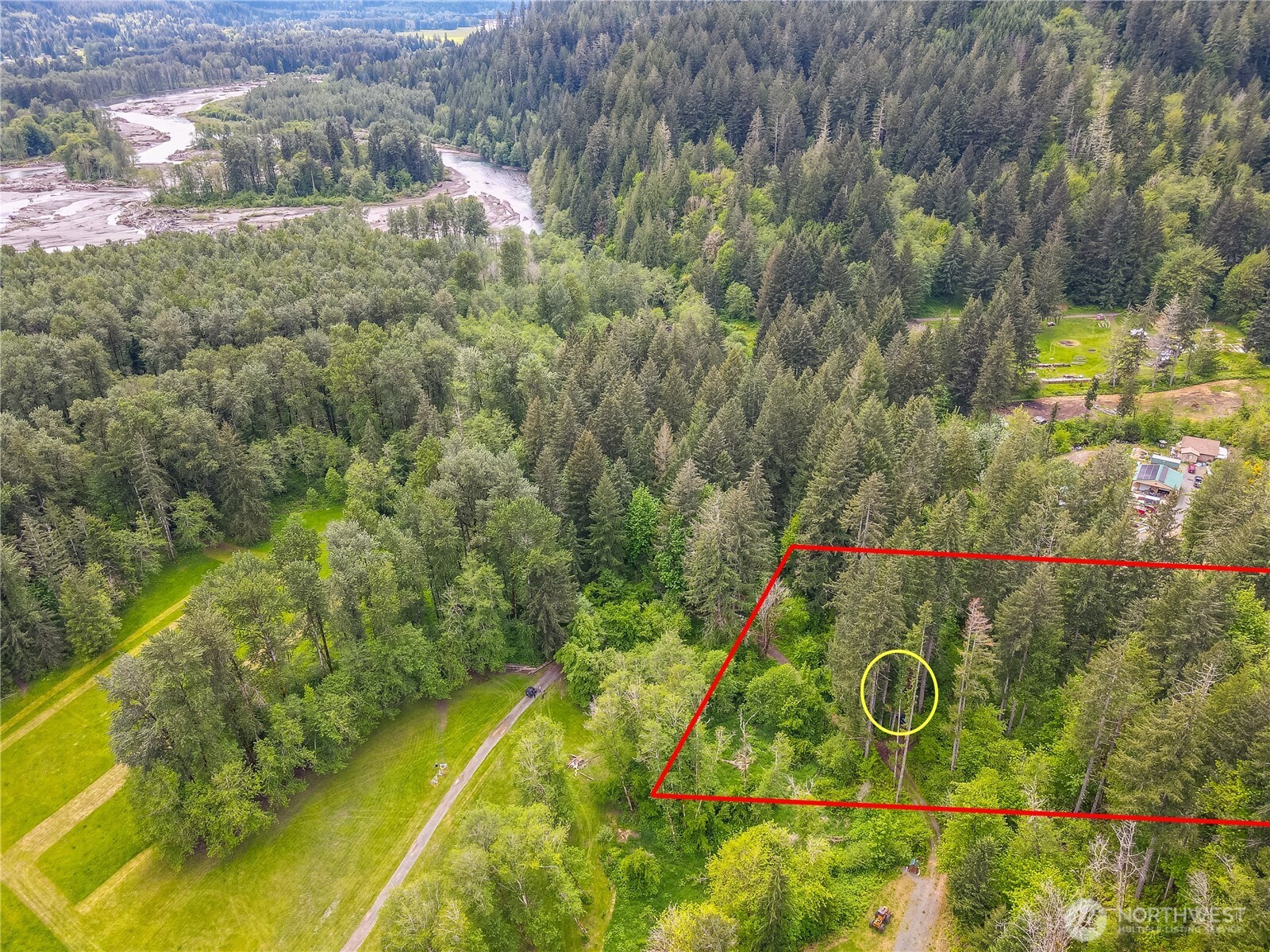 0 Carr Road Randle, WA 98377 - Photo 20 of 20