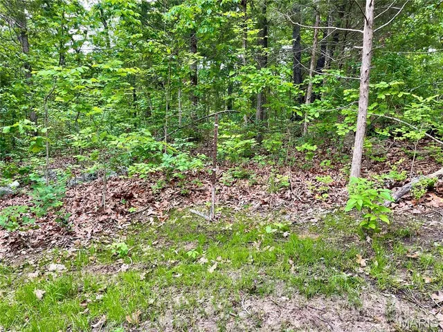 $39,500 | 9265 State Rte 30, Robertsville, MO 63072