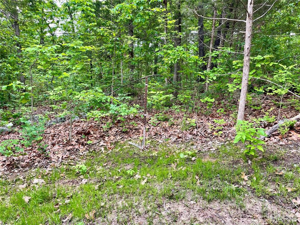 9265 State Rte 30 Robertsville, MO 63072 - Photo 20 of 41