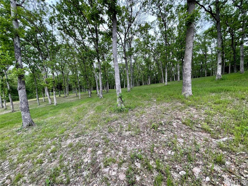 9265 State Rte 30 Robertsville, MO 63072 - Photo 2 of 41