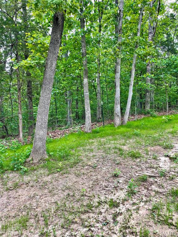 9265 State Rte 30 Robertsville, MO 63072 - Photo 28 of 41