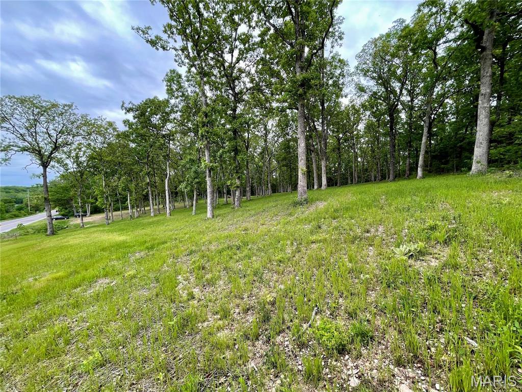 9265 State Rte 30 Robertsville, MO 63072 - Photo 7 of 41