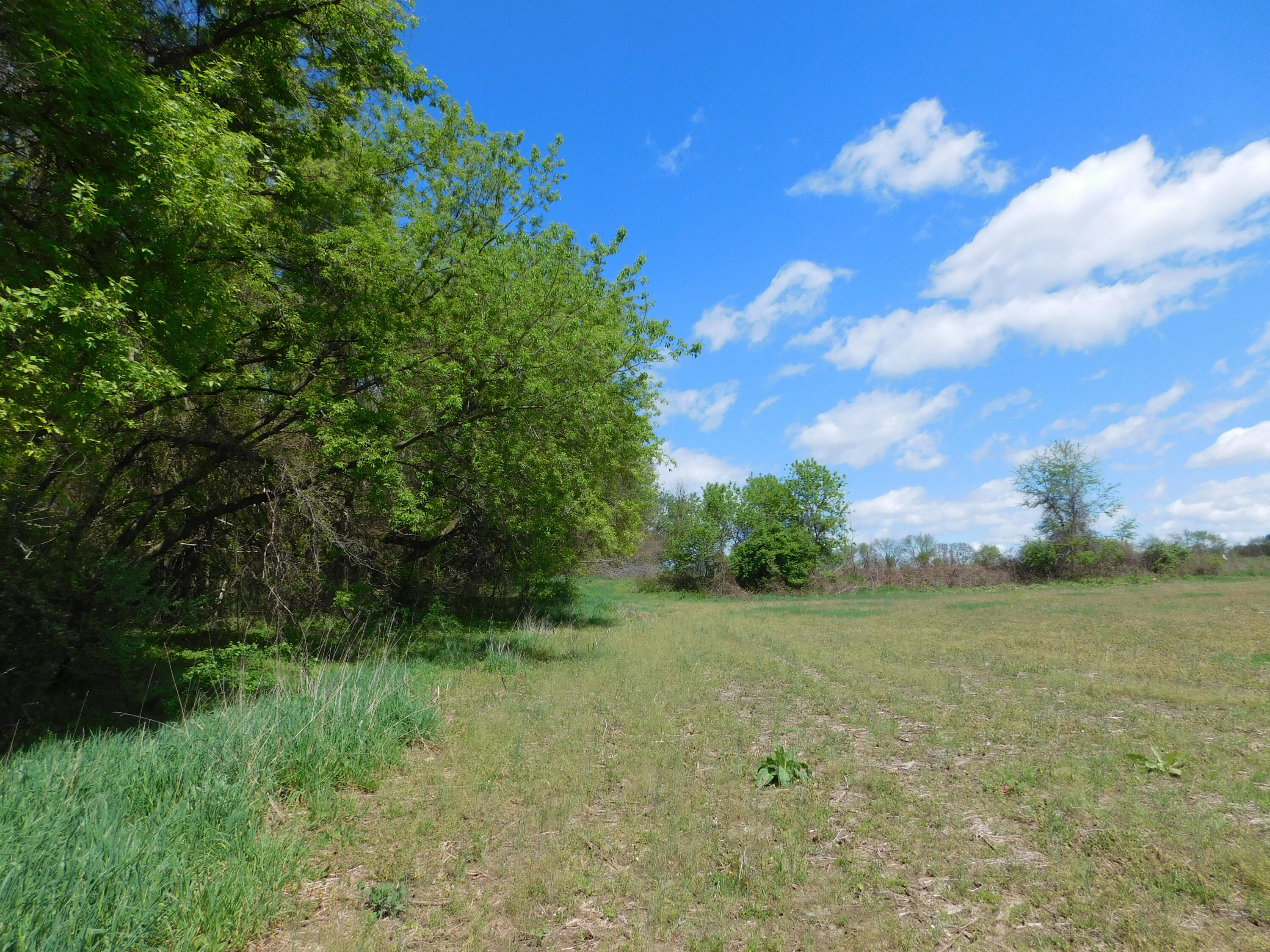 64277 Union Road Vandalia, MI 49095 - Photo 21 of 27 DSCN8599