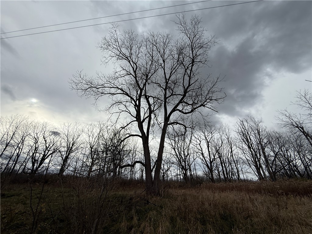 Tucker Road Ithaca, NY 14850 - Photo 11 of 35