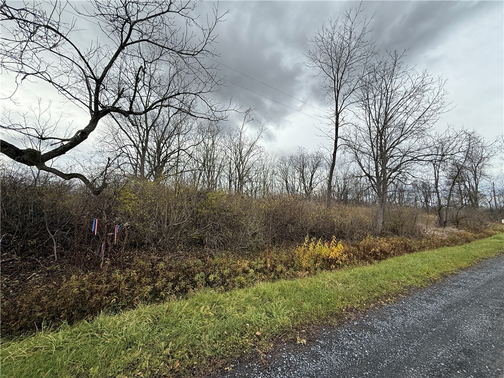 Tucker Road Ithaca, NY 14850 - Photo 12 of 35