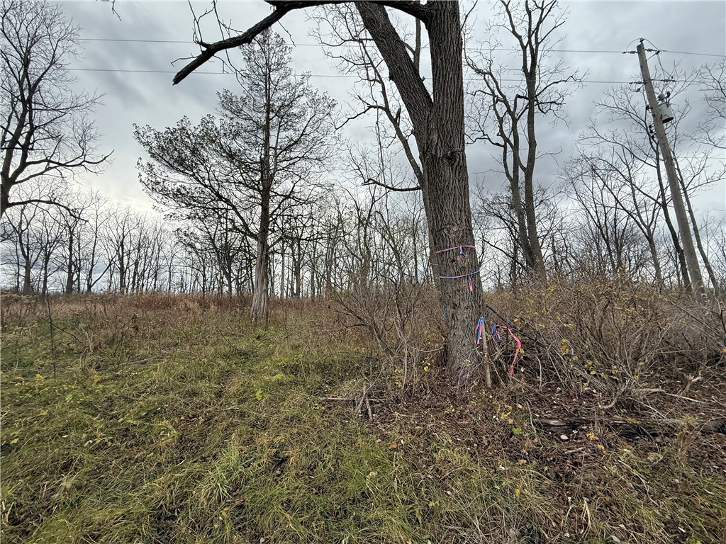 Tucker Road Ithaca, NY 14850 - Photo 13 of 35