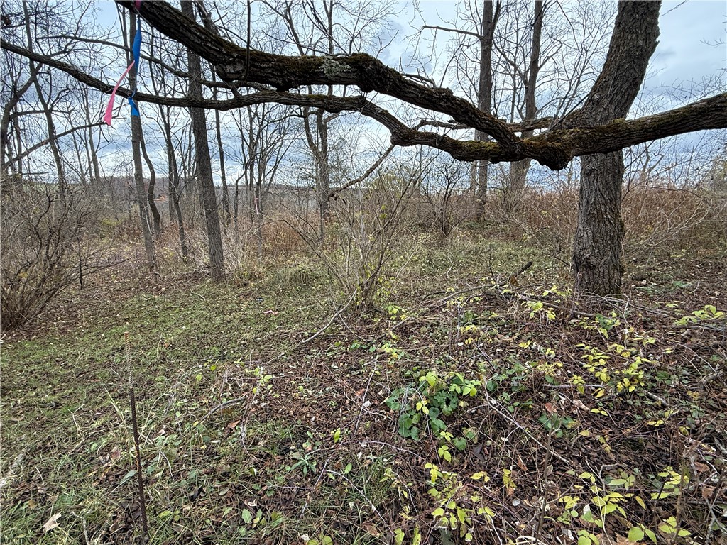 Tucker Road Ithaca, NY 14850 - Photo 14 of 35