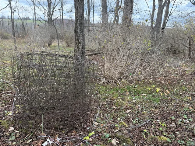 $129,900 | Tucker Road, Ithaca, NY 14850