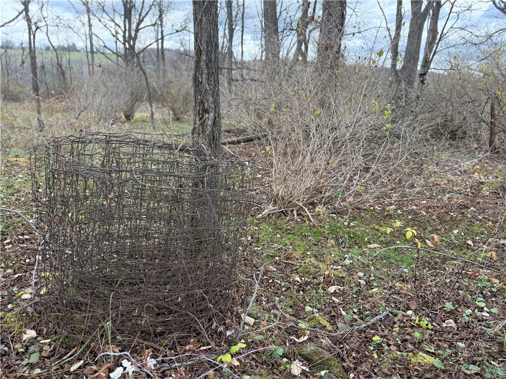 Tucker Road Ithaca, NY 14850 - Photo 15 of 35