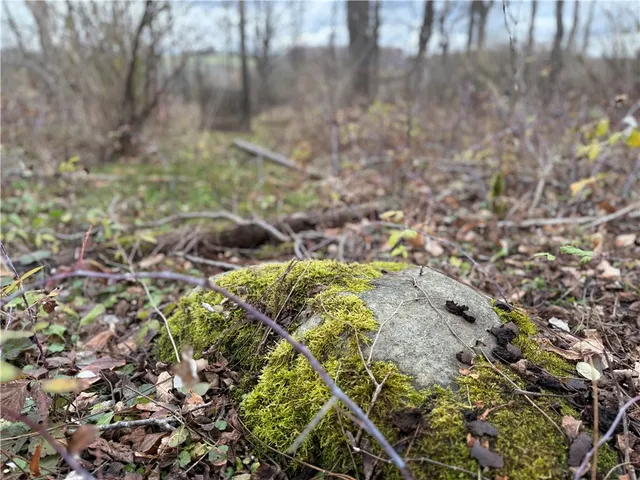 $129,900 | Tucker Road, Ithaca, NY 14850