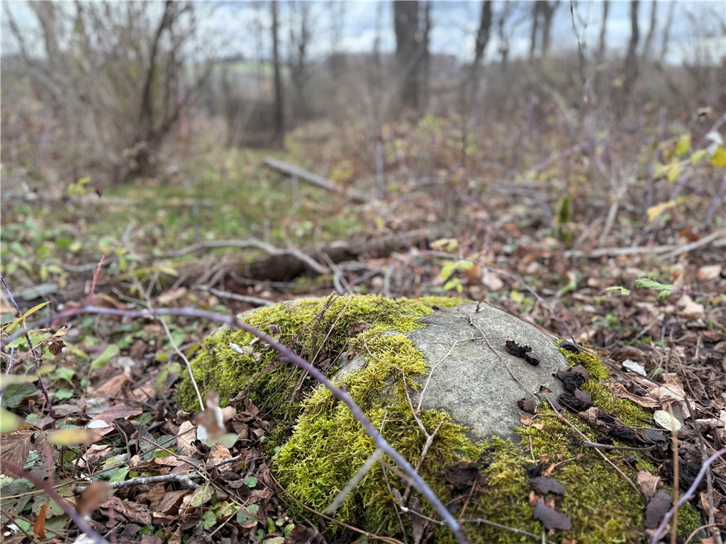 Tucker Road Ithaca, NY 14850 - Photo 16 of 35