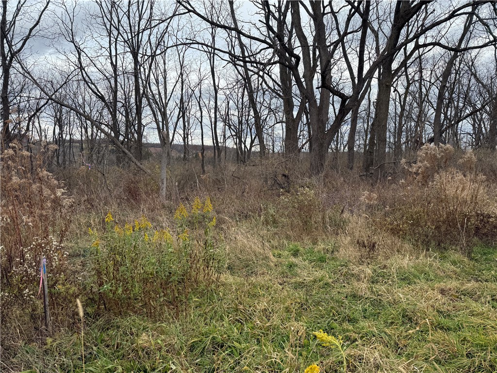 Tucker Road Ithaca, NY 14850 - Photo 18 of 35