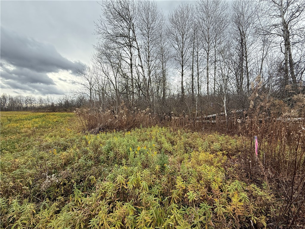 Tucker Road Ithaca, NY 14850 - Photo 21 of 35