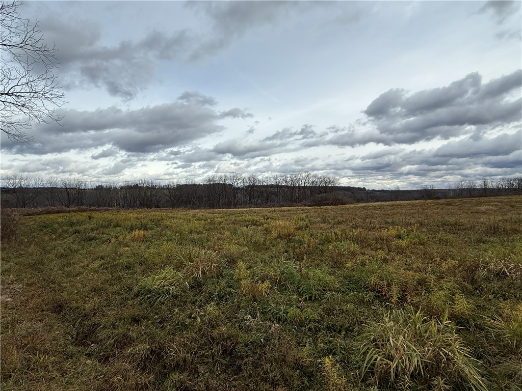 Tucker Road Ithaca, NY 14850 - Photo 23 of 35